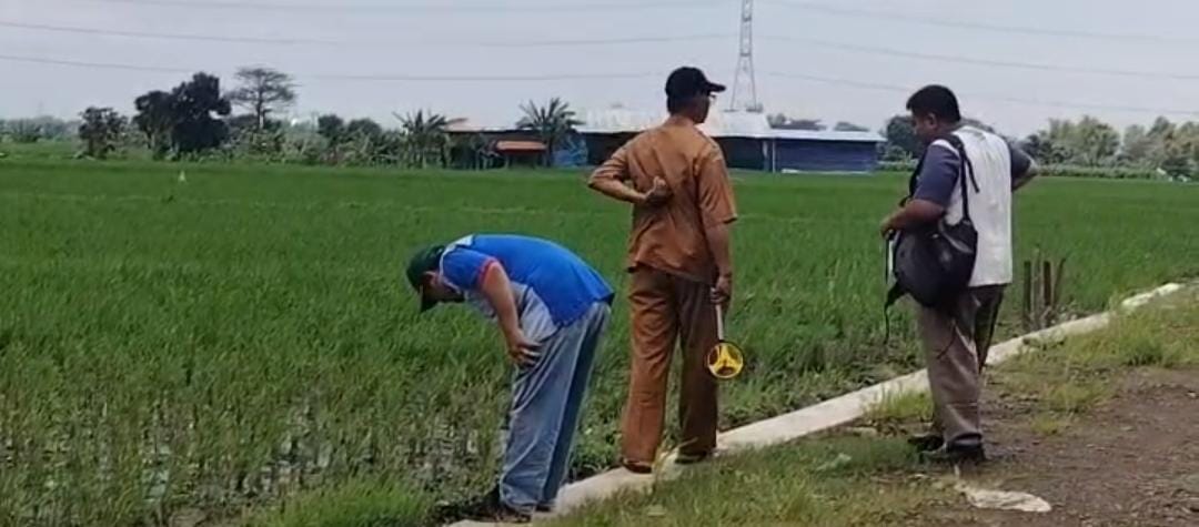 Monitoring dan Evaluasi Bangunan Fisik Tahap II TA 2026 Desa Tunggulwulung